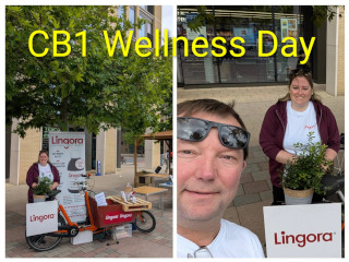 Lingora at CB1 Wellness Day image.